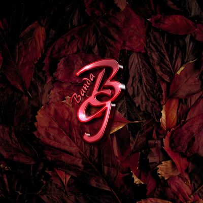 BandaBG_Logo